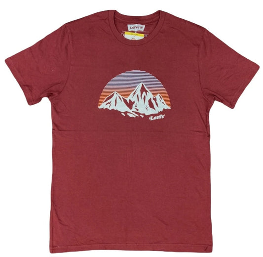 Levi Strauss & Co. Men's Short Sleeve Graphic Logo Cotton Tee Shirt