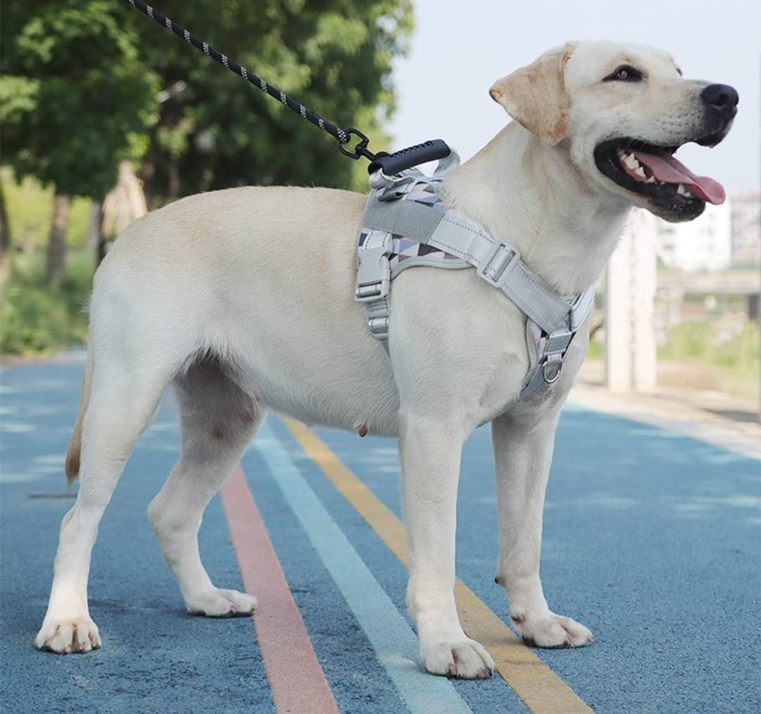 No-Pull Pet Harness Adjustable Soft Padded Dog Vest Reflective No-Choke Pet Oxford Vest with Easy Control Handle for Large Dogs