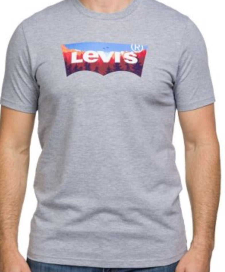 Levi Strauss & Co. Men's Short Sleeve Graphic Logo Cotton Tee Shirt